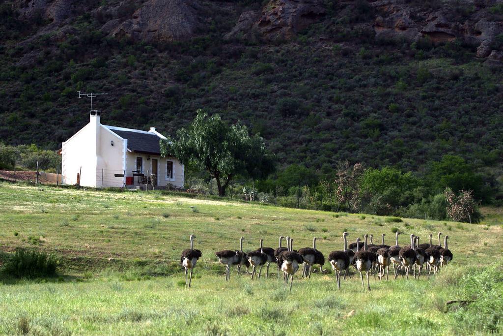 Red Stone Hills Vila Buffelskloof Exterior foto